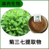 森冉生物 菊三七提取物 费菜提取物 比例提取原料粉